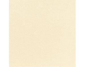 SERVIETTE AIRLAID CHAMPAGNE
40 X 40CM  55G 
