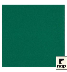 SERVIETTE CELISOFT VERT SAPIN P/50