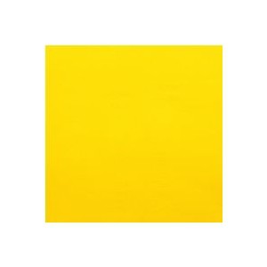 SERVIETTE CELI-OUATE CITRON P/100