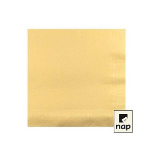 SERVIETTE OUATE IVOIRE P/100