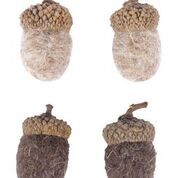 GLANDS TAUPE / CHOCOLAT 2.5CM PAR 12