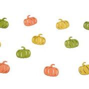 CITROUILLES BOIS ASSORTIES PAR 12