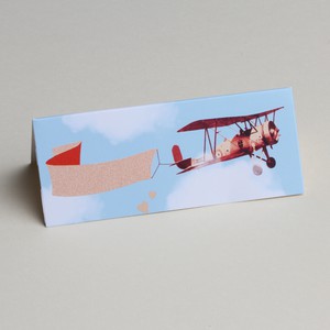 CARTE DE TABLE AVION PAR 10   