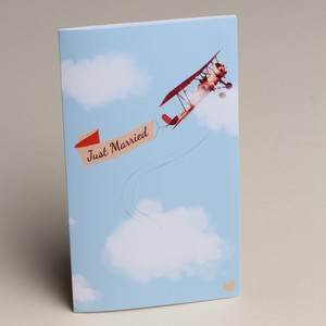 MENUS AVION PAR 10