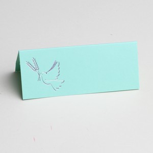 CARTE DE TABLE VERT COLOMBE PAR 10